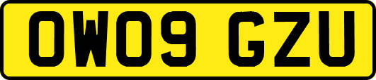 OW09GZU