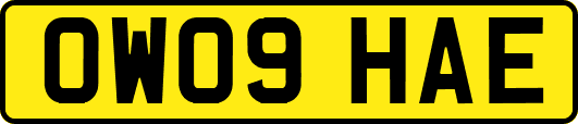 OW09HAE