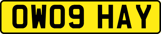 OW09HAY