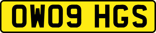 OW09HGS