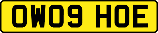OW09HOE