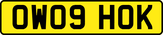 OW09HOK