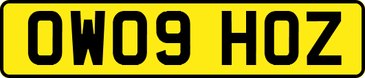 OW09HOZ