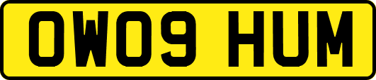 OW09HUM