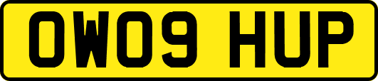 OW09HUP