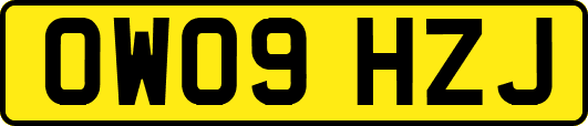 OW09HZJ
