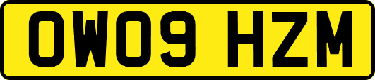 OW09HZM