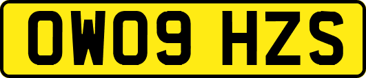 OW09HZS