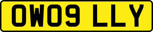 OW09LLY