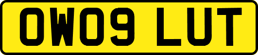 OW09LUT