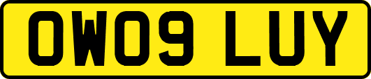 OW09LUY