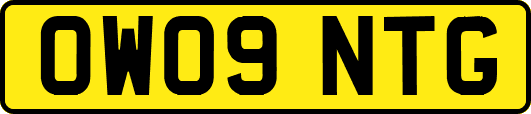 OW09NTG