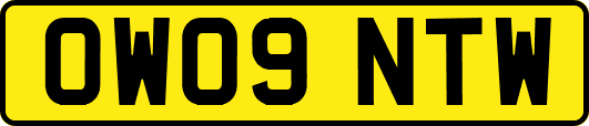OW09NTW