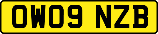OW09NZB