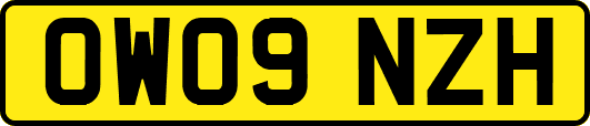 OW09NZH