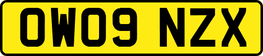 OW09NZX