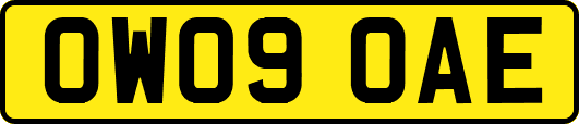 OW09OAE