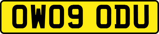 OW09ODU