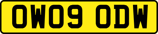 OW09ODW