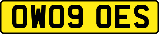 OW09OES