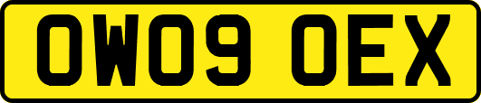 OW09OEX