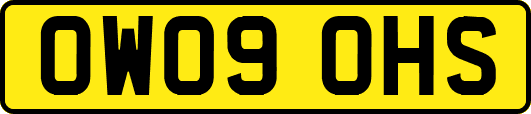 OW09OHS