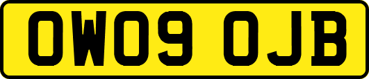 OW09OJB