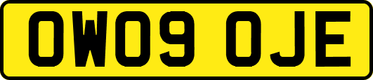 OW09OJE