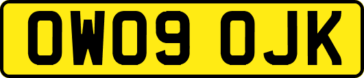 OW09OJK