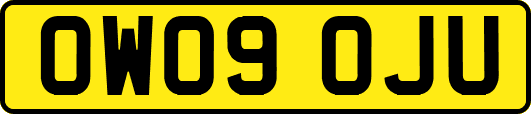 OW09OJU