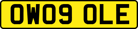OW09OLE
