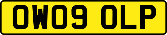 OW09OLP