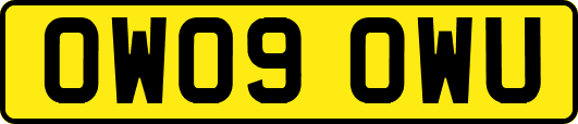 OW09OWU