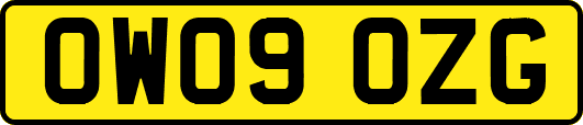 OW09OZG