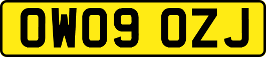 OW09OZJ