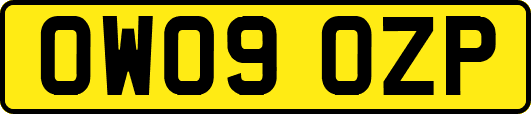 OW09OZP