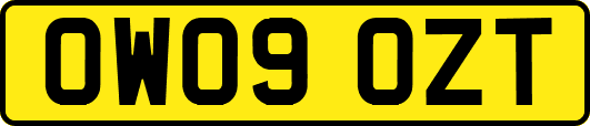 OW09OZT
