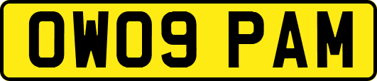 OW09PAM