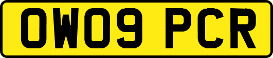 OW09PCR