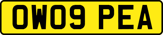OW09PEA