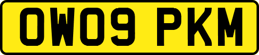 OW09PKM