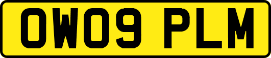 OW09PLM