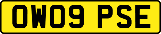 OW09PSE