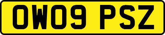 OW09PSZ