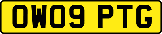 OW09PTG