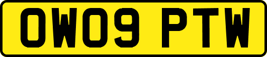 OW09PTW