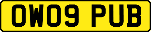 OW09PUB
