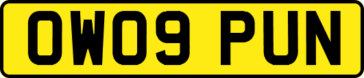 OW09PUN