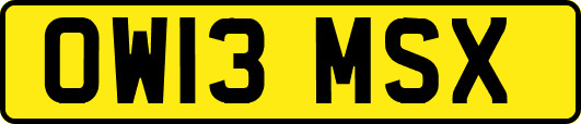 OW13MSX