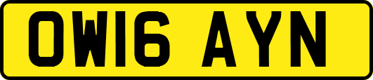 OW16AYN